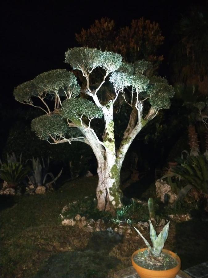 B&B Il Giardino Di Eolo Pietramelara Exterior photo