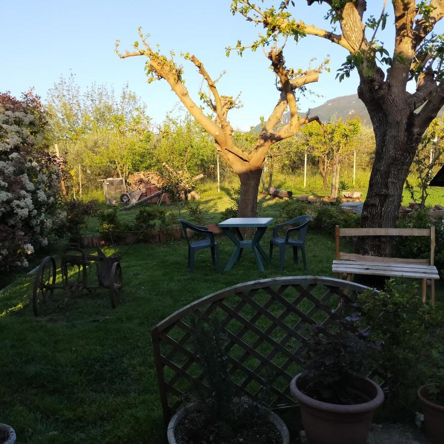 B&B Il Giardino Di Eolo Pietramelara Exterior photo