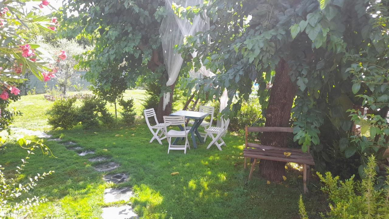 B&B Il Giardino Di Eolo Pietramelara Exterior photo